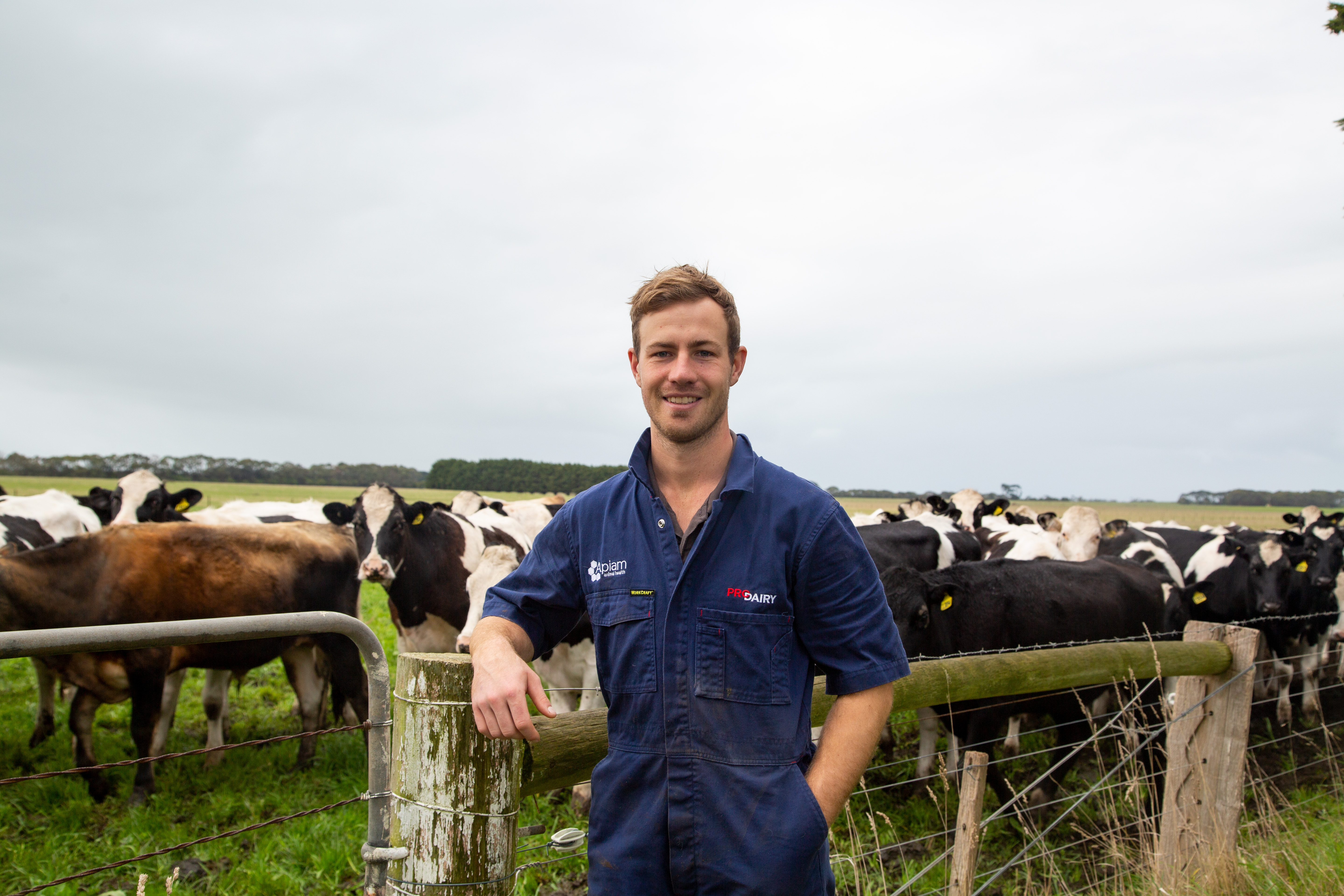CoVet and Apiam Animal Health Partner to Revolutionize Rural Veterinary Care with AI-Powered Solutions