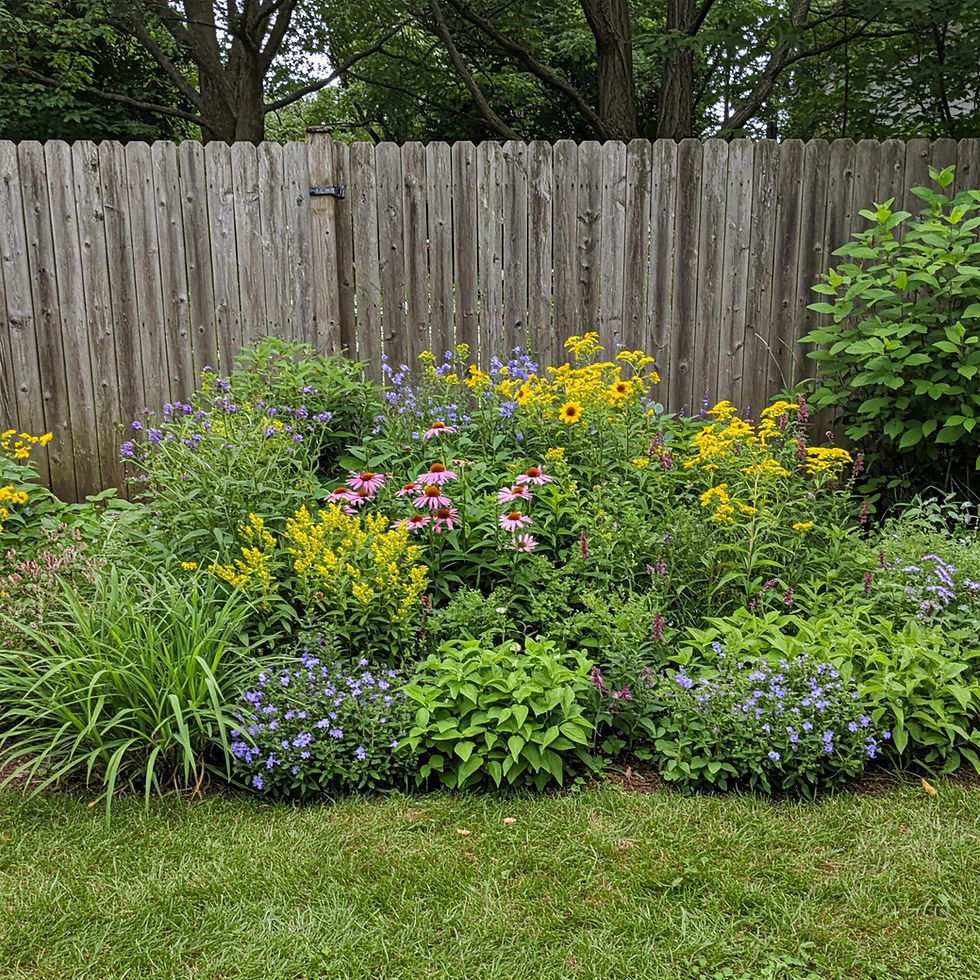 pollinator garden design