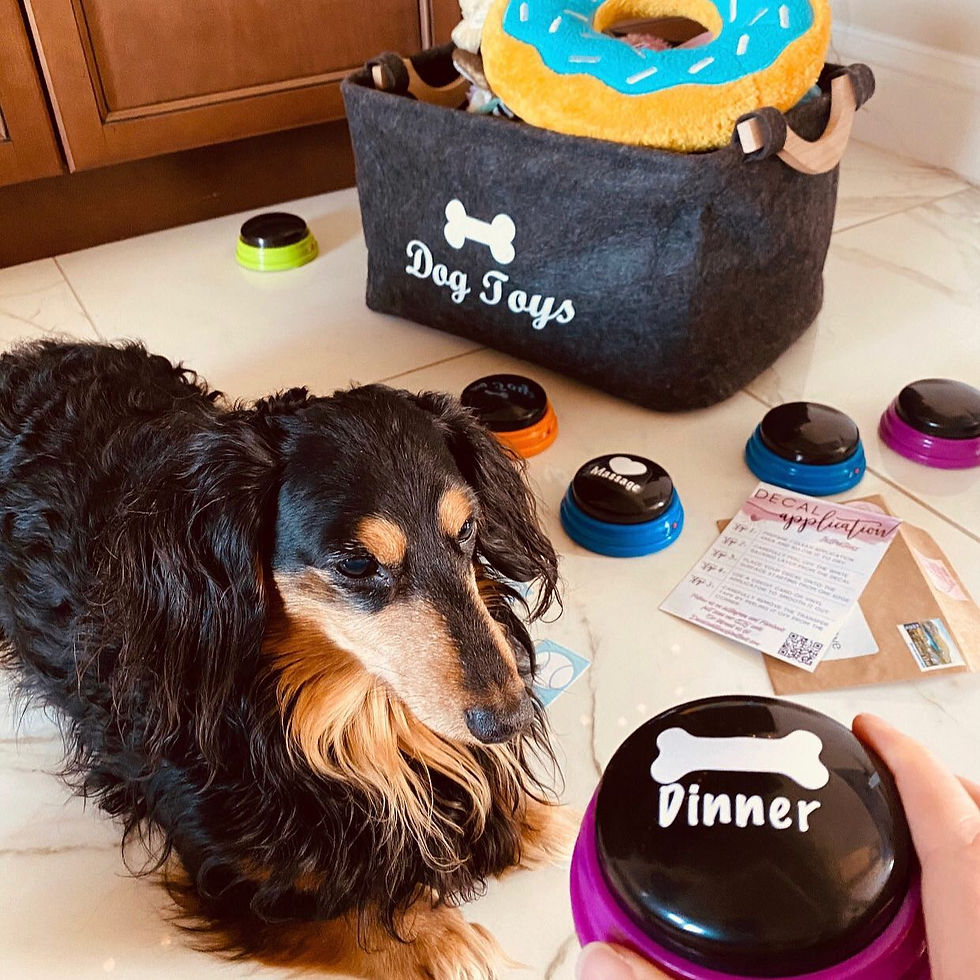 Thumbnail: Recordable dog button (stickers only)