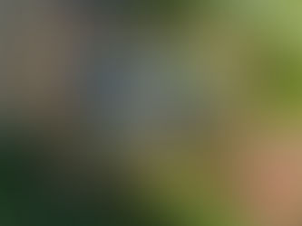 Custom stickers for your wedding (Tips and Ideas)