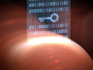 SECURITY TIP OF THE MONTH!!! - YOUR DIGITAL FINGERPRINT