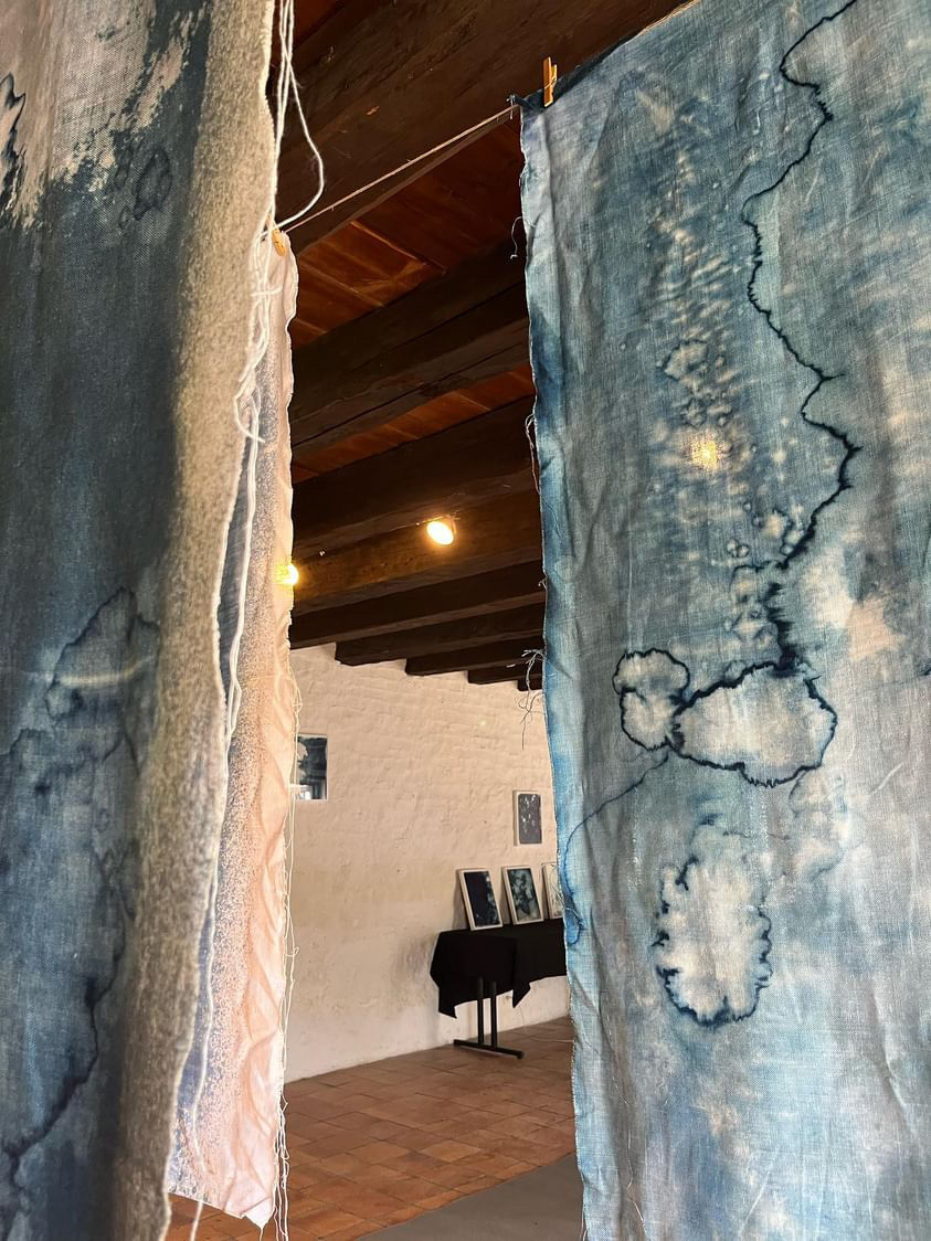 FD3584F8-02BA-4F2F-8B60-4A31A8360057