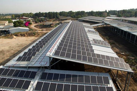 נחשונים  (1).jpg