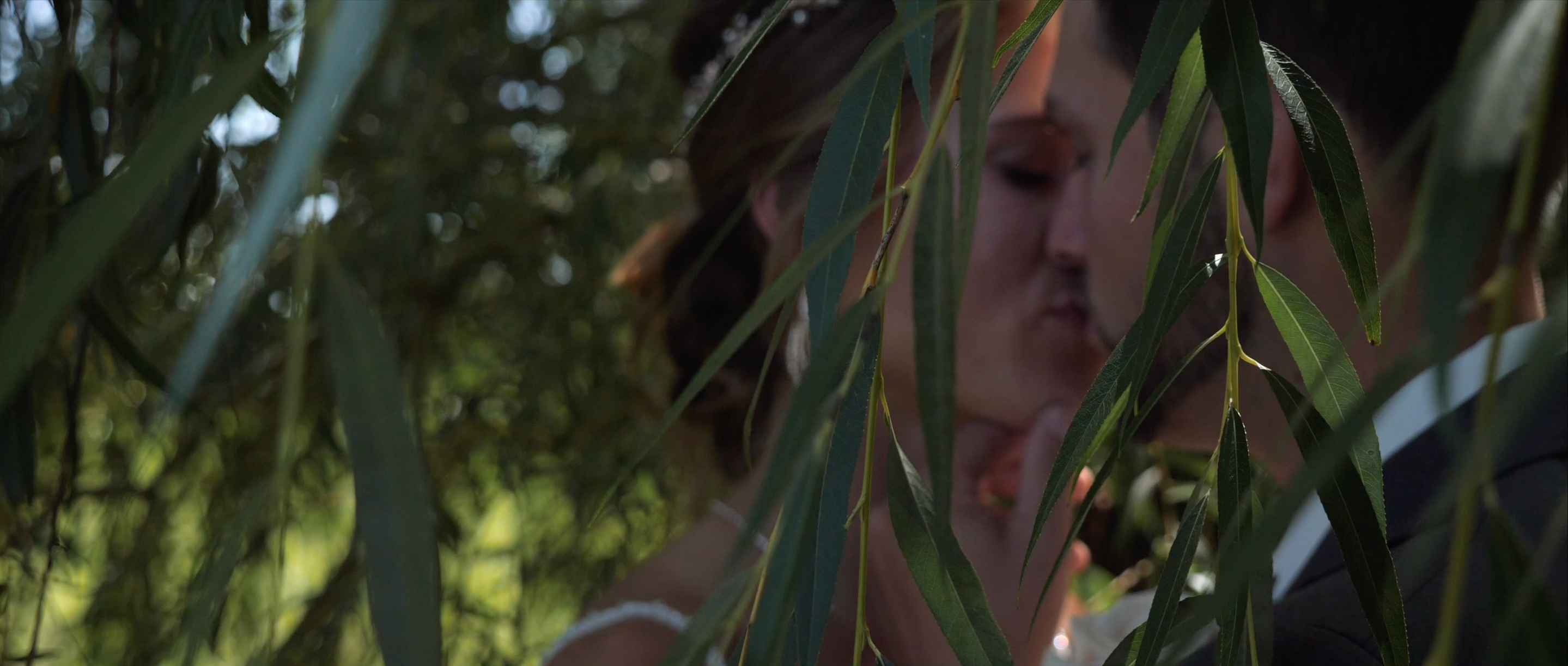 Nicole + Connor