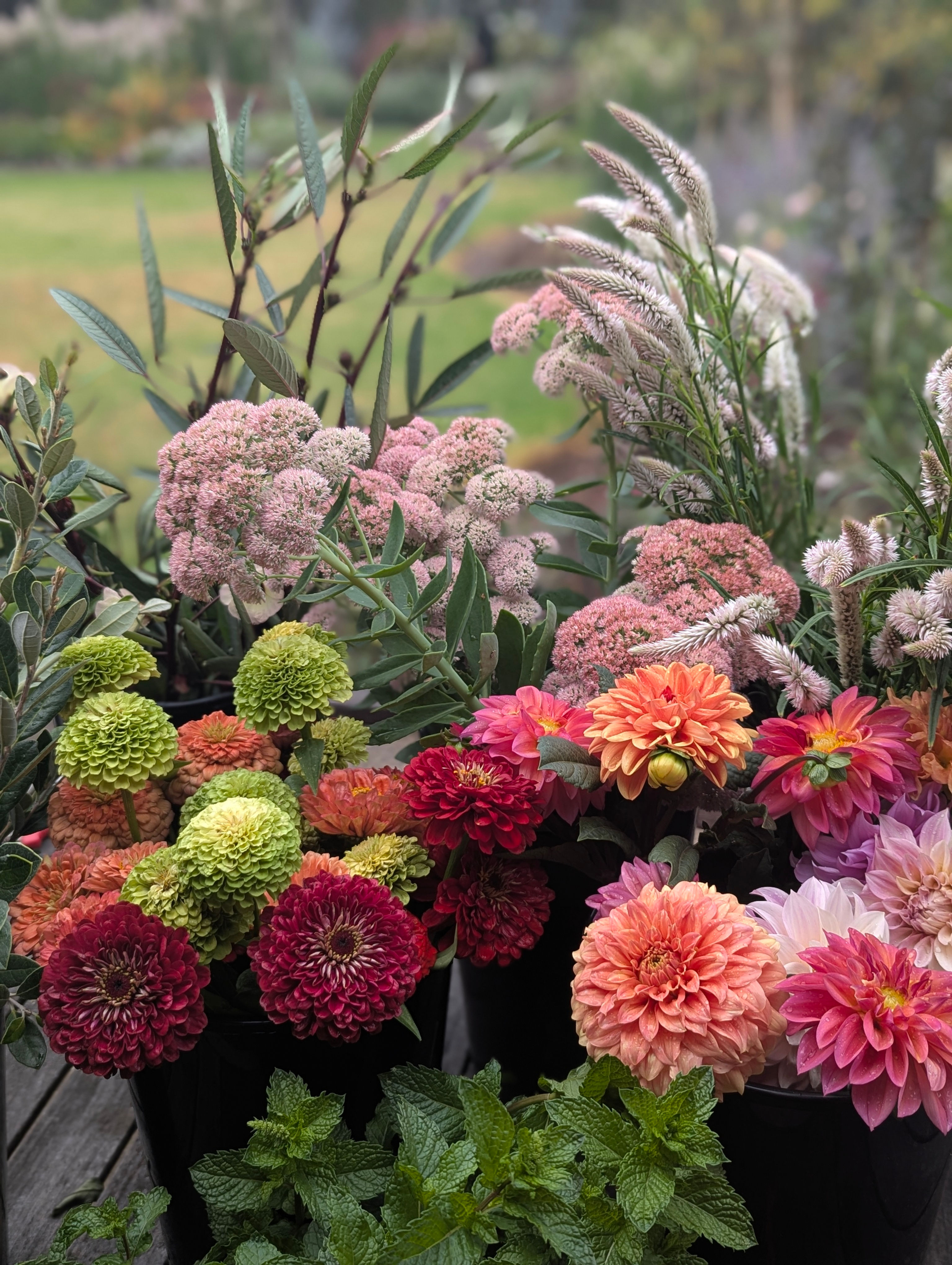 Farmers Choice mixed bucket | 30 stems