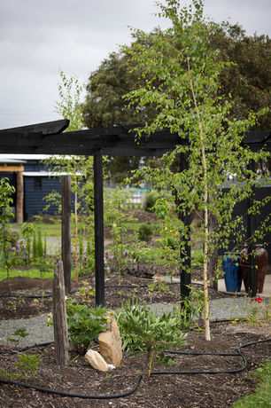 Long Acre Lovedale for Weddings & Events. Rustic and Charming Barn Weddings in the Hunter Valley. Perfect for DIY Weddings.