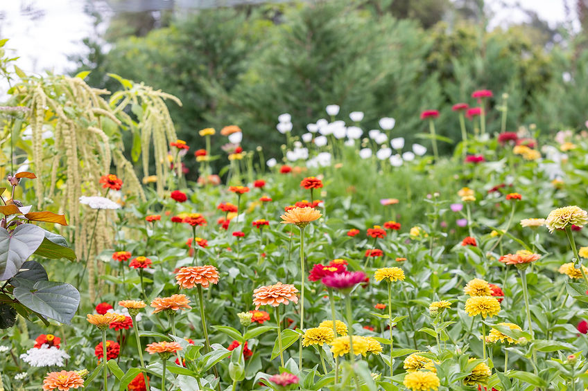 Long Acre Flowers-1.jpg