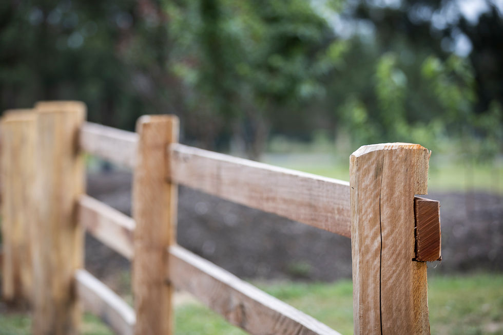 Long Acre Lovedale for Weddings & Events. Rustic and Charming Barn Weddings in the Hunter Valley. Perfect for DIY Weddings.