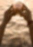 pitrupaksha Gaya