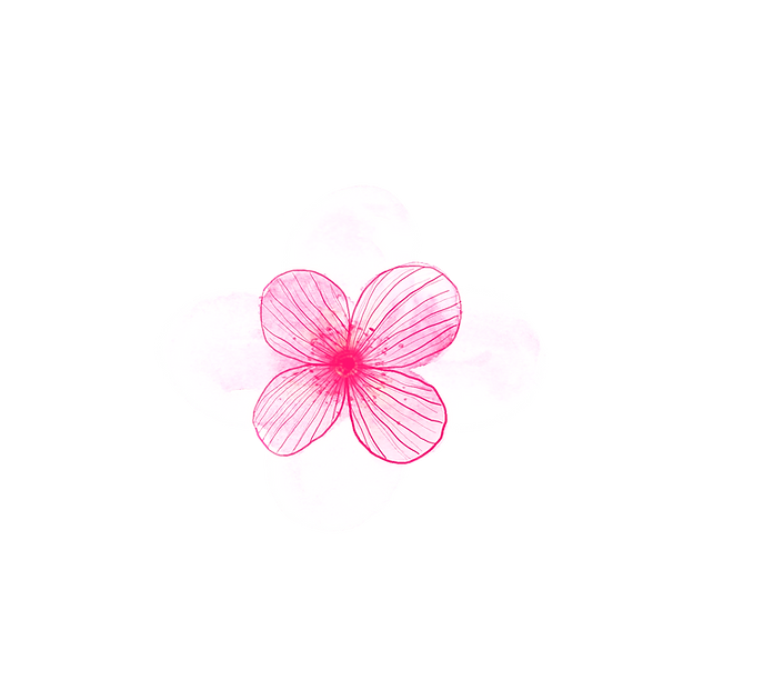 Lilac_Stripey_Flower_edited.png