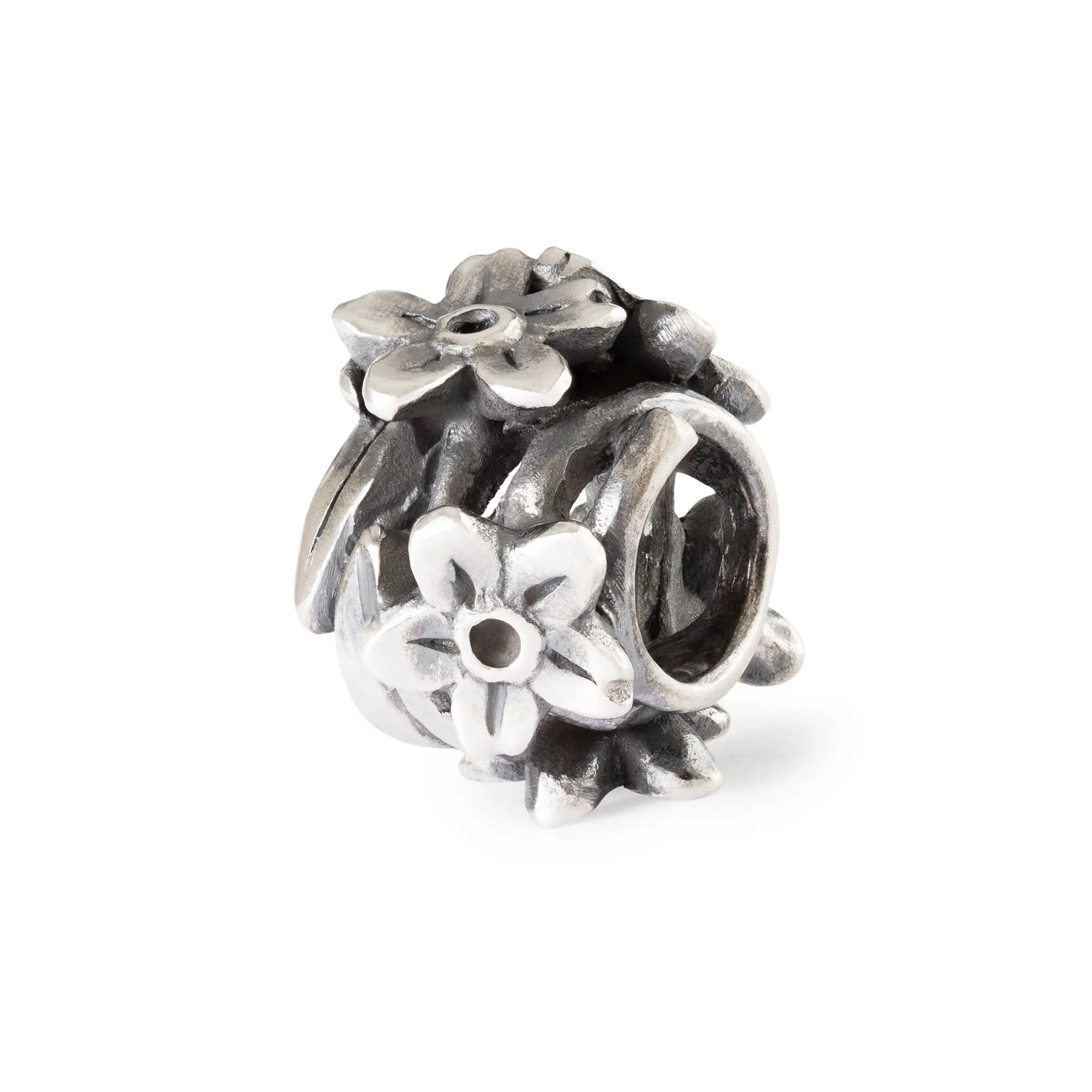 TROLLBEADS Dolce Nontiscordardime   TAGBE-10294