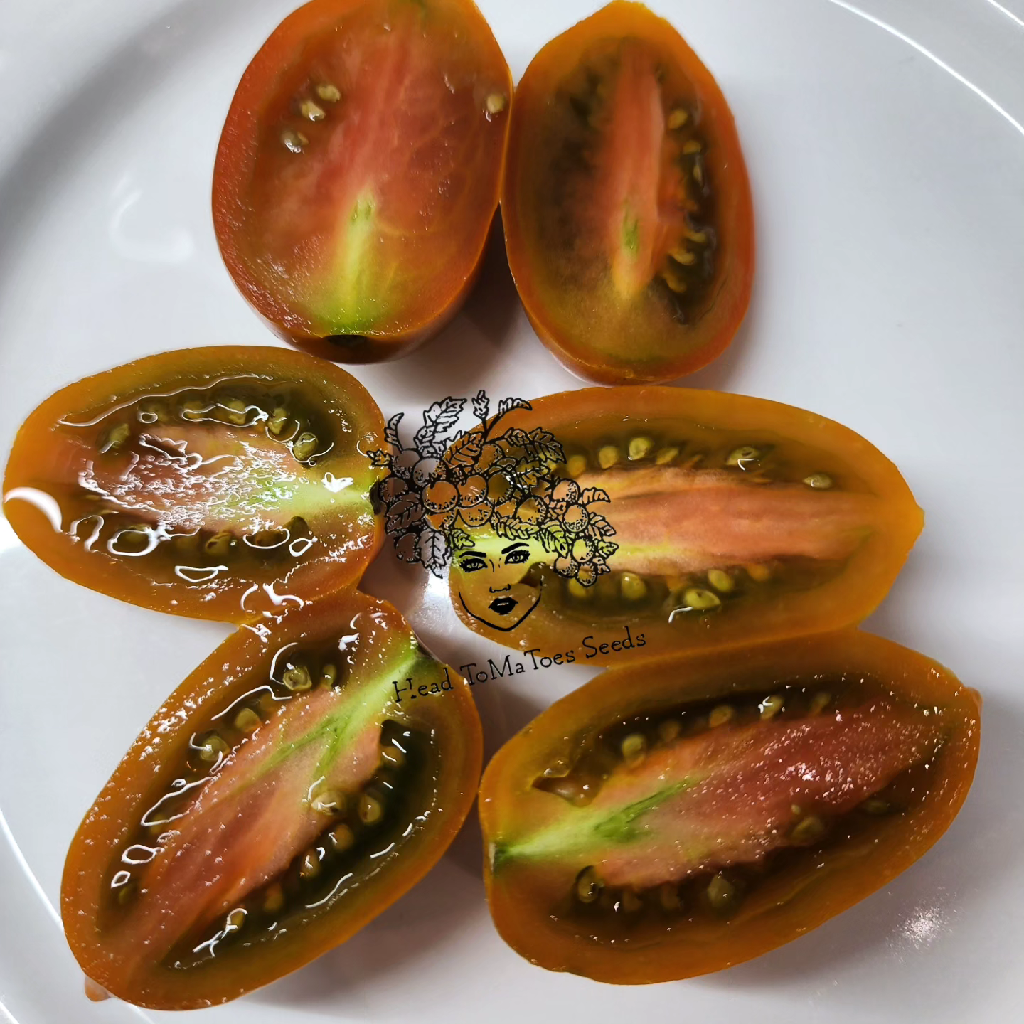Bronze Shell Tomato Seeds