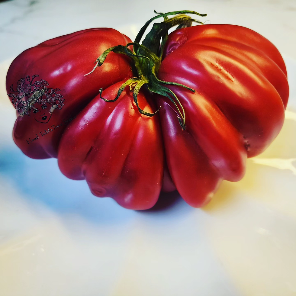 Tlacolula Tomato Seeds