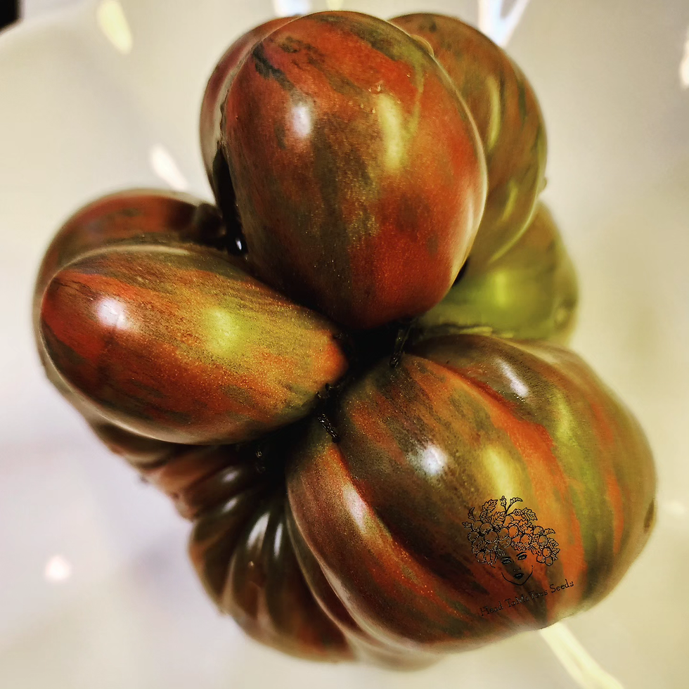 Thumbnail: Mississippi Queen Tomato Seeds