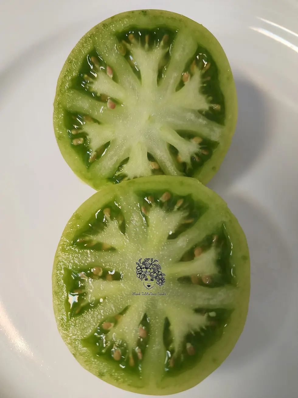 Thumbnail: Jade Beauty Dwarf Tomato Seeds.