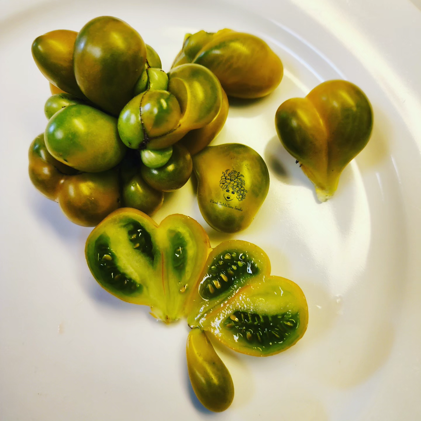 Phil's Two Tomato Seeds