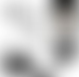 Caméra d'inspection Lightswim