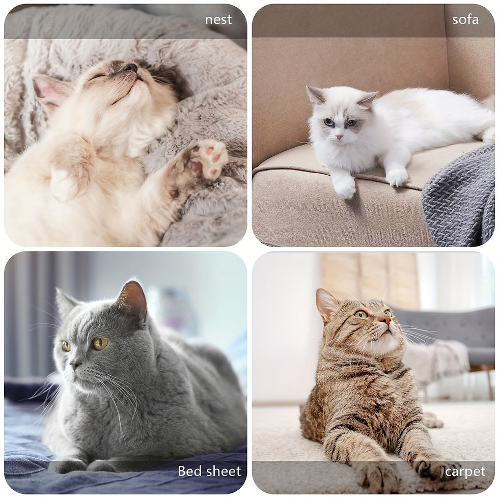 Thumbnail: 1pc Pet Hair Remover, Reusable Cat And Dog Hair Remover Lint Roller For Furnitu