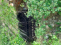 20220531_110230_edited.jpg