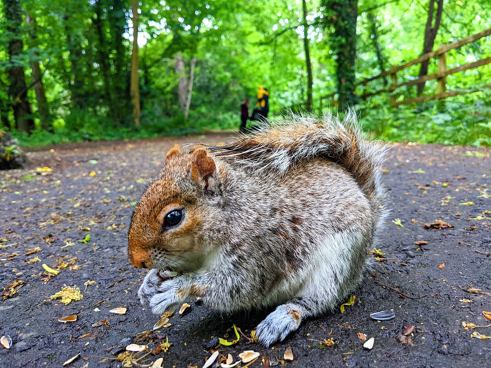 "Life's simple joys often come with twitching tails."