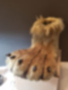20180723_003201.jpg