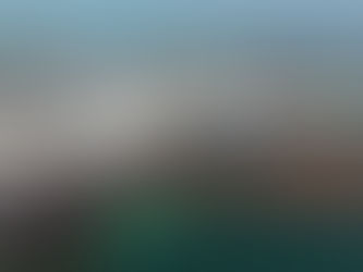 Se esperan 500 toneladas de sargazo para este 2019.