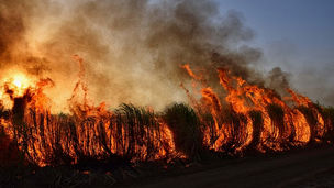 2027 declared “hottest year on record”