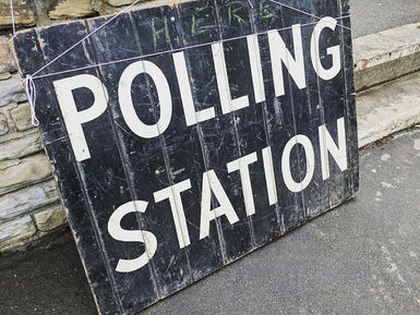 Dogs not allowed to say which way they'd vote