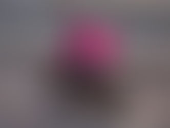 New Government plan deports illegal immigrants for £20