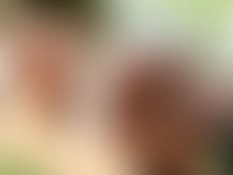 Trump imposes tariffs on imported thoughts and prayers