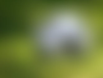 Crystal Palace stripped of FA Cup