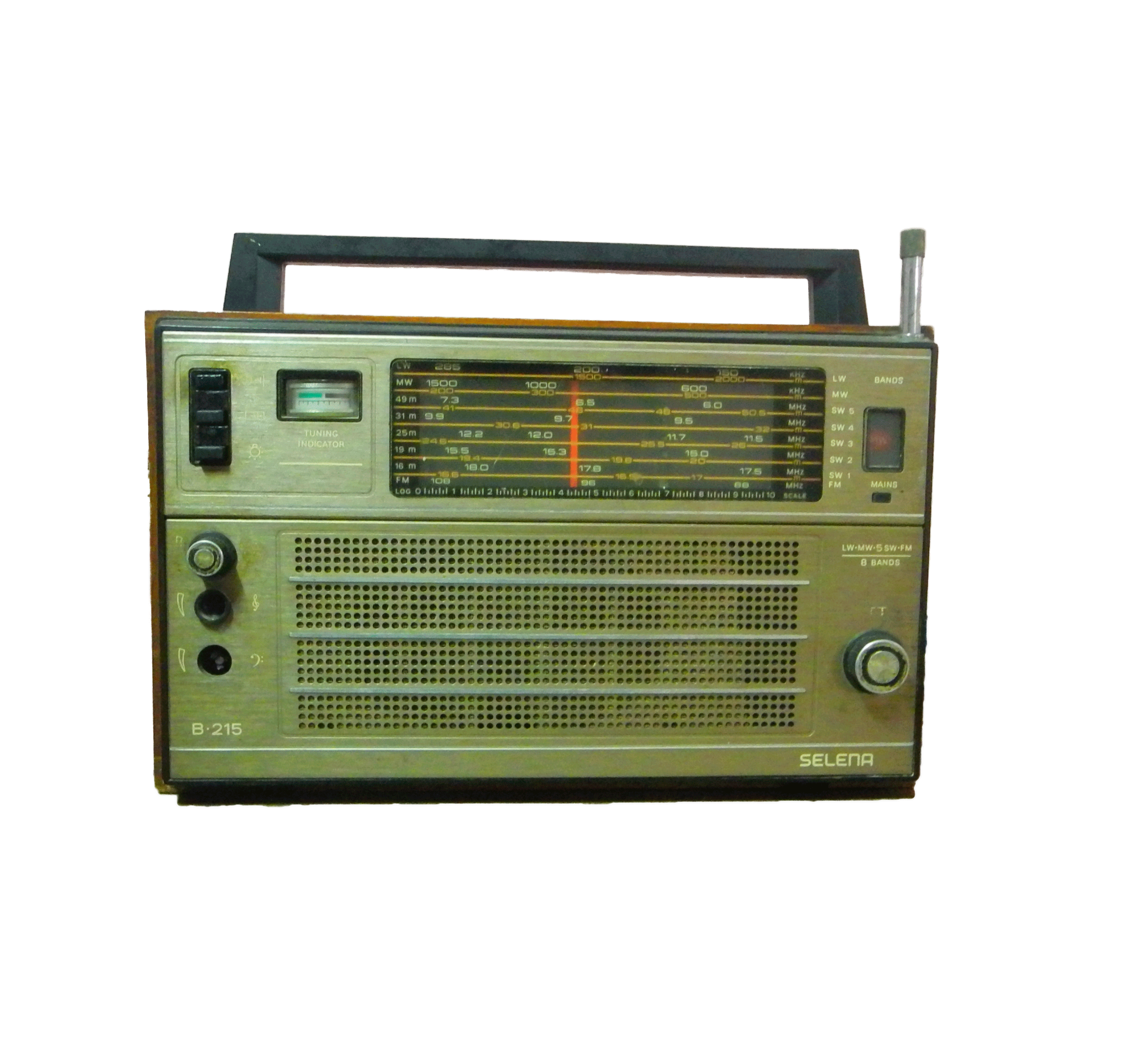 Perro-radio.gif