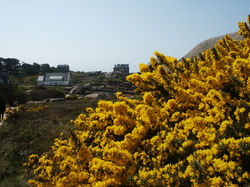 Perros_2013_2 (13).JPG