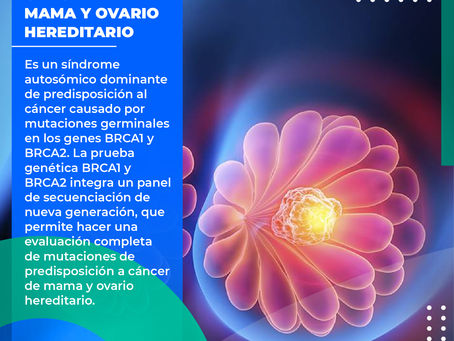 Cáncer De Mama Y Ovario Hereditario|Dr. Franco Krakaur | Cirujano Oncólogo