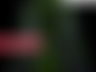 Linfoquinéticos | ClÃnica De Enfermedades Vasculares y Heridas