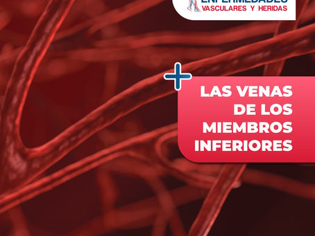 Venas De Los Miembros Inferiores - ClÃnica De Enfermedades Vascular Y De Heridas