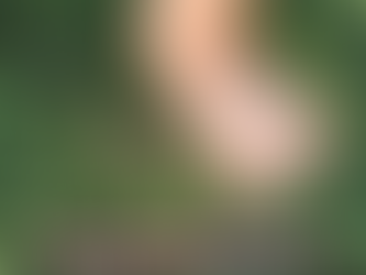 Espacios verdes y salud pediátrica. | Dra. Luz Rivera | Pediatra