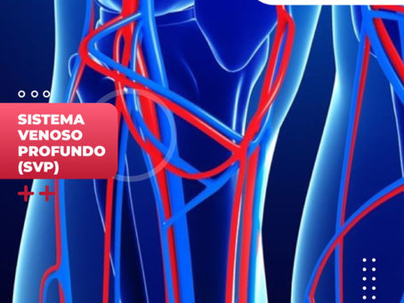 Sistema Venoso Profundo |Clínica De Enfermedades Vasculares Y Heridas