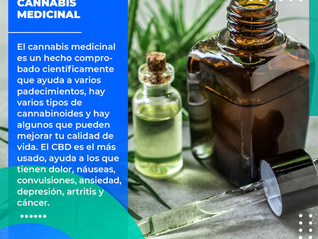 Cannabis Medicinal|Dr. Franco Krakaur | Cirujano Oncólogo