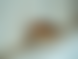 Silverfish Infestations: Causes and Remedies