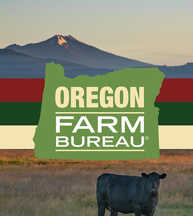 OFB Graphic.png