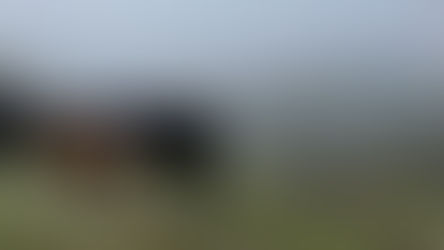 ODA recruiting for 58 commodity commissioner openings; Apply by April 20