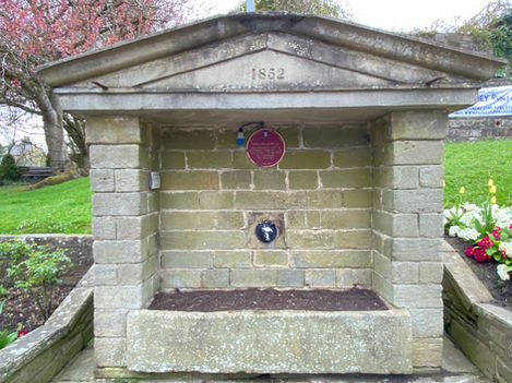 Foxes_Head_WellPateley_Bridge.jpeg