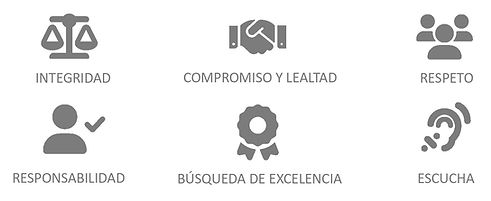 ICONOS VALORES_EVOTECNOS