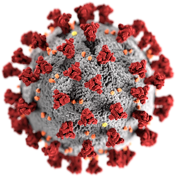 1200px-SARS-CoV-2_without_background.webp
