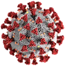 1200px-SARS-CoV-2_without_background.webp