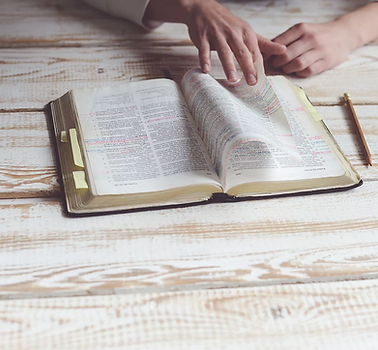 reading bible.webp