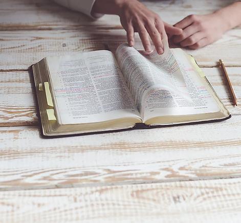 reading bible.webp