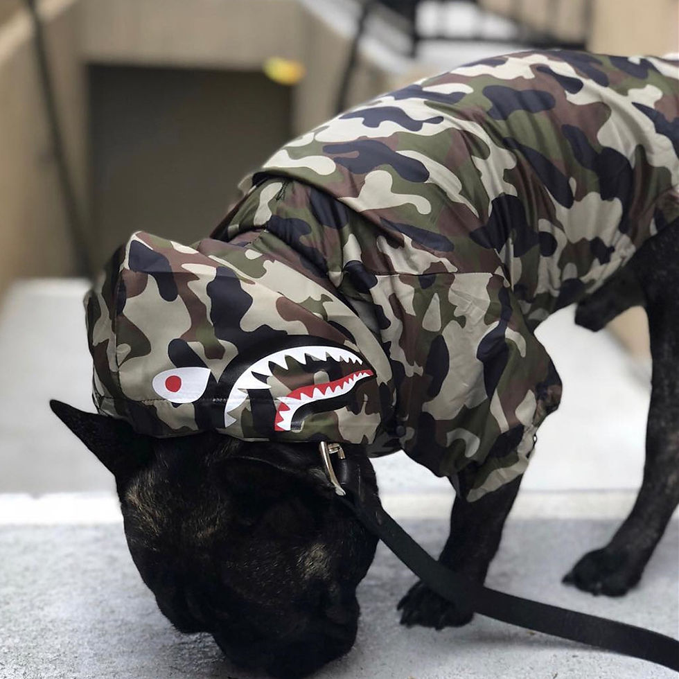 Thumbnail: Large Dog Raincoat - Windproof and Waterproof Pet Jacket