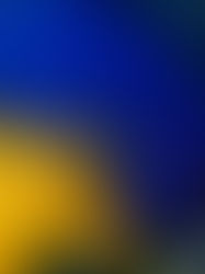 Der Euro hat viel Kritik überstanden – und ist dennoch eine Schuldenbürde - Handelblatt 30.12.2021